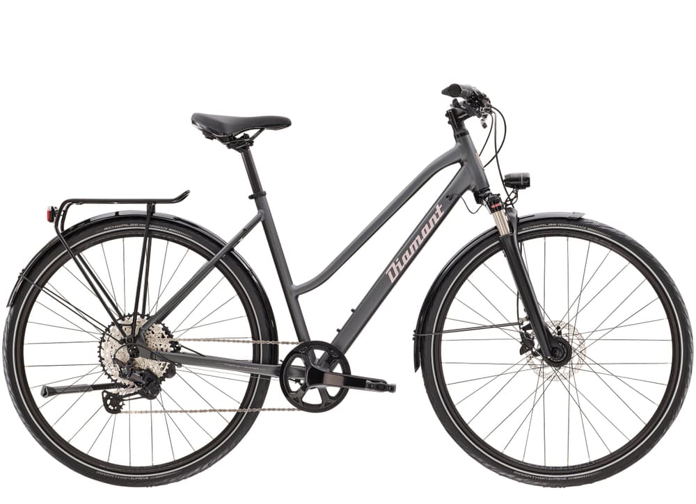 Elan Grand Deluxe Bicicletta da trekking Diamant 463385100383 Colore grigio scuro Dimensioni del telaio S N. figura 1