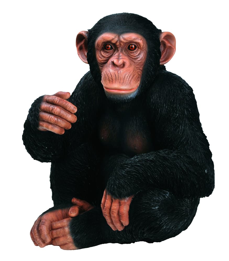 Scimpanzé Figura decorativa 657944300000 N. figura 1