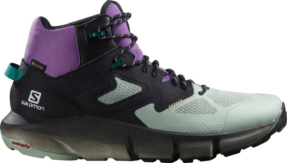 salomon predict hike