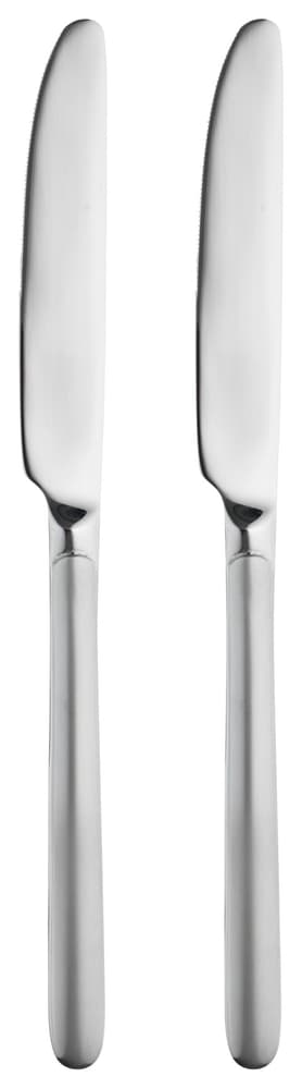 SOLA PAULIN Tafelmesser-Set PAULIN Tafelmesser-Set SOLA 440377000000 Bild Nr. 1