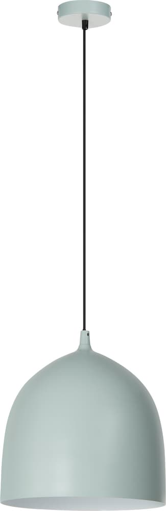ALESSIO Lampe à suspension 420826400000 Dimensions L: 30.0 cm x P: 30.0 cm x H: 120.0 cm Couleur Vert Photo no. 1