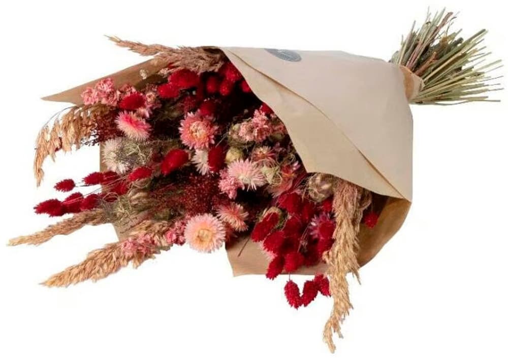 Bouquet di fiori secchi Rosa grande Nature/Rosso Fiori secchi Anjel 785300195654 N. figura 1