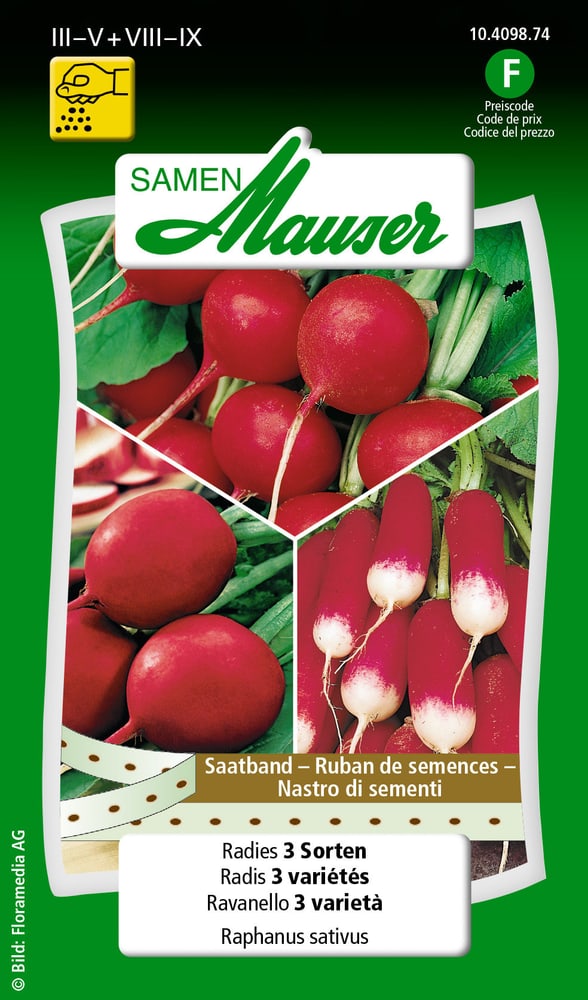 Nastro di sementi Ravanello 3 varietà Sementi di verdura Samen Mauser 650114403000 Contenuto 3 x 2.5 m di nastro da semina per 1 - 1.5 m² N. figura 1