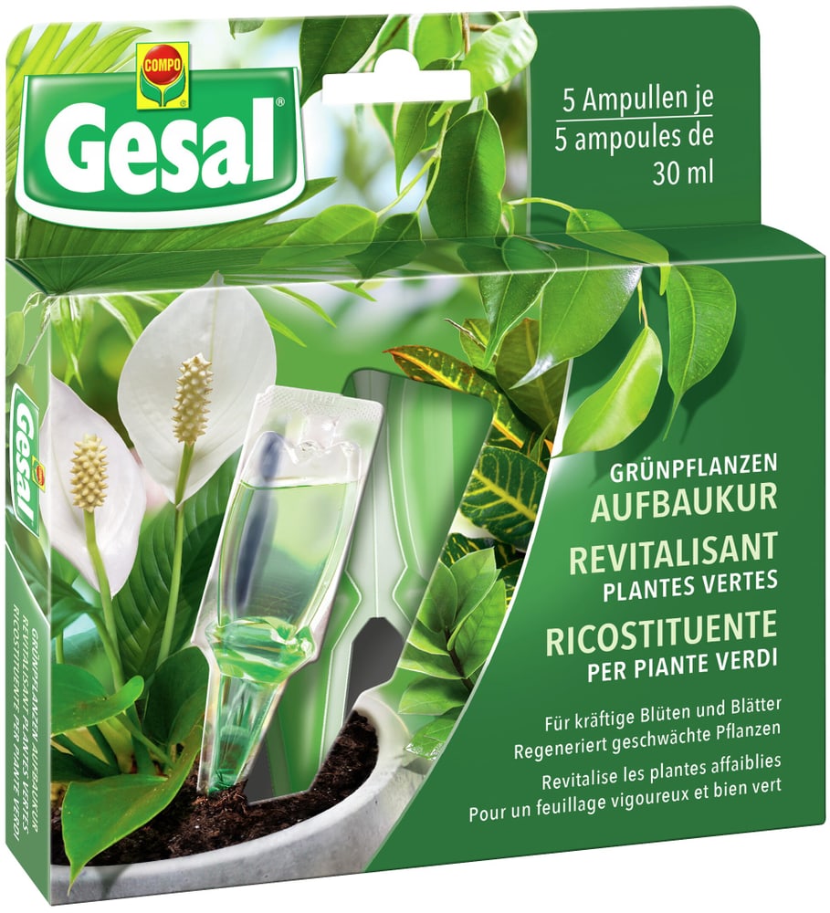 Ricostituente per piante verdi, 5 x 30 ml Fertilizzante liquido Compo Gesal 658234100000 N. figura 1