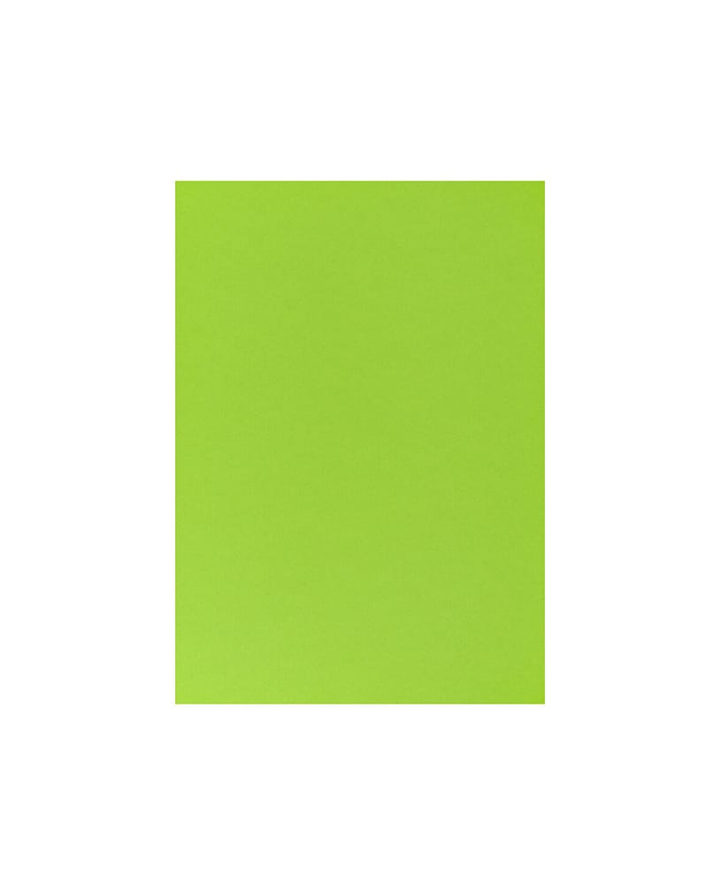 Carta Per Foto A4, Verde Cartone fotografico 666540900060 Colore Verde Dimensioni L: 21.0 cm x P: 0.05 cm x A: 29.7 cm N. figura 1