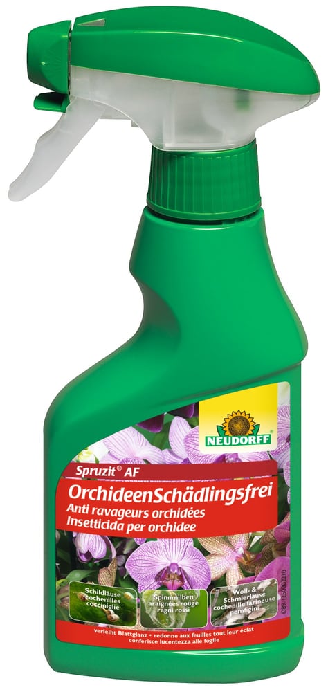 Spruzit AF OrchideenSchädlingsfrei, 250ml Insektizid Neudorff 658422900000 Bild Nr. 1