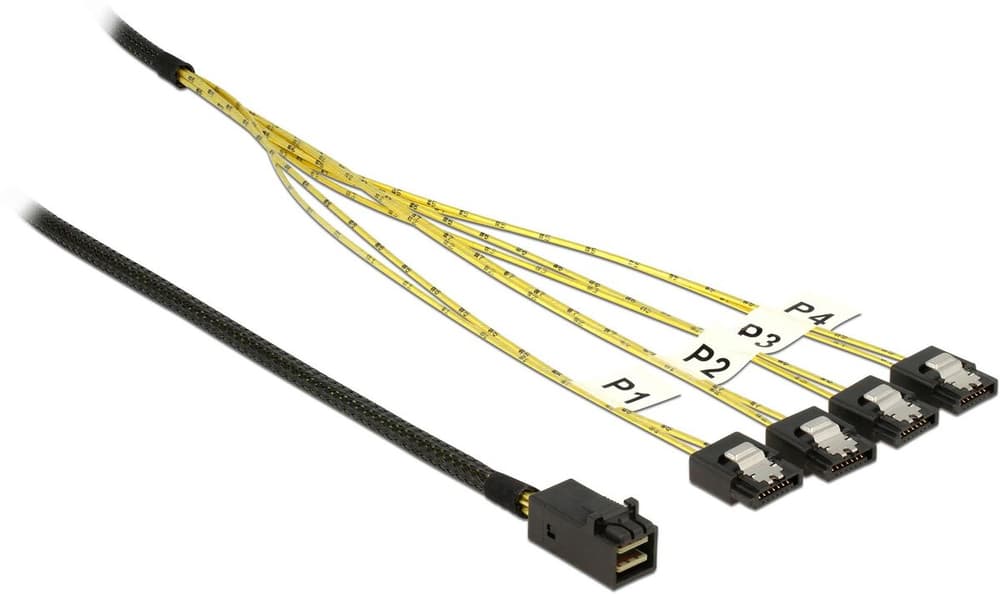 Câble SATA SFF-8643 - 4xSATA 50 cm Câble de données interne DeLock 785302406123 Photo no. 1