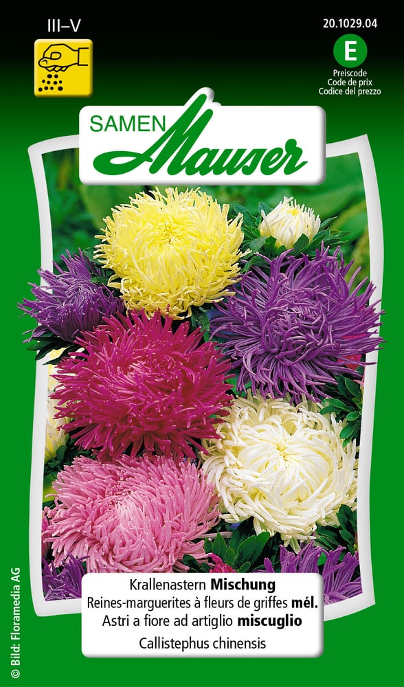 Reines-marguerites à fleurs de griffes mél. Semences de fleurs Samen Mauser 650102001000 Contenu 0.75 g (env. 100 plantes ou 5 - 6 m²) Photo no. 1