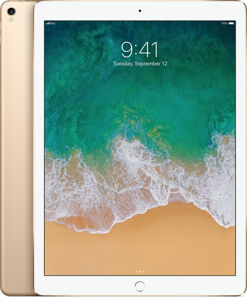 iPad Pro 12 LTE 256GB gold Tablet Apple 79840110000017 Bild Nr. 1