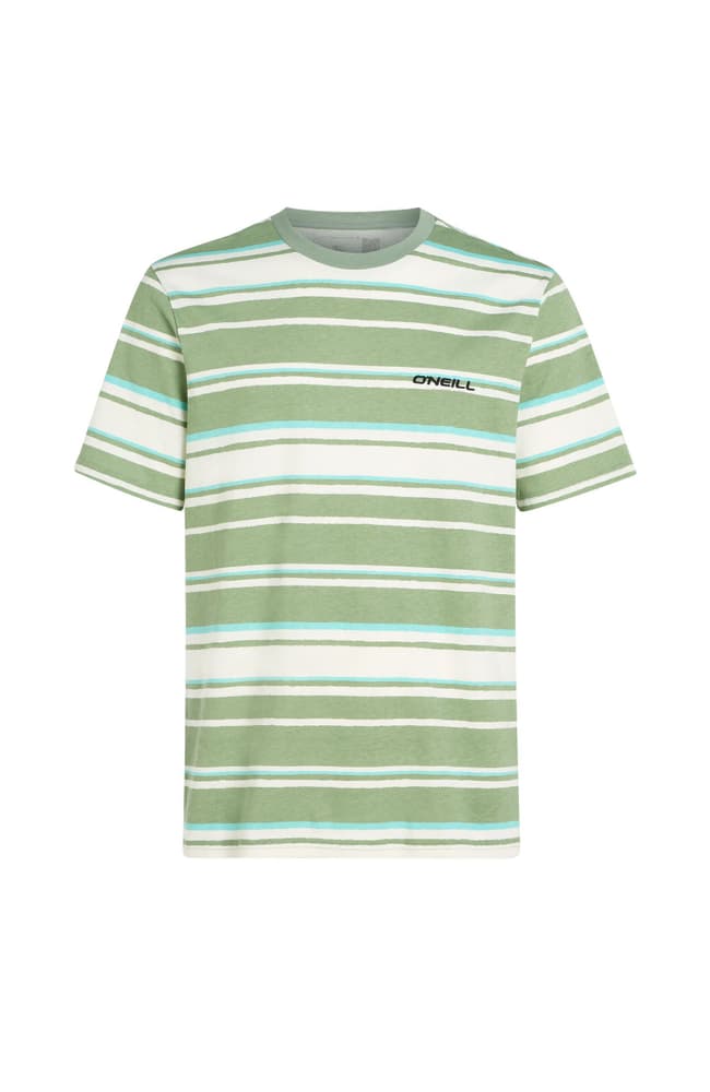 Mix & Match stripe T-shirt O'Neill 468249200660 Taille XL Couleur vert Photo no. 1