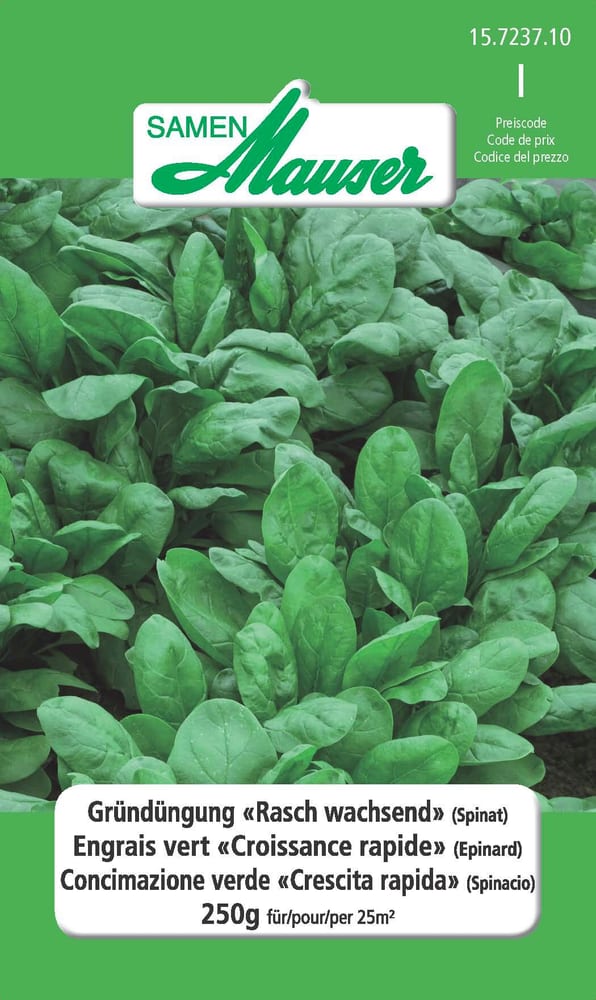 Concime verde "Raschwachsend" (spinacio) 250 g (25 m2) Sementi di verdura Samen Mauser 650289600000 N. figura 1