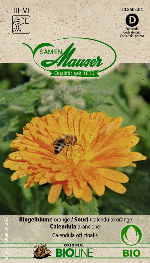 Samen Mauser Souci (calendula) orange Semences de fleurs Souci (calendula) orange Semences de fleurs Samen Mauser 650245700000 Photo no. 1