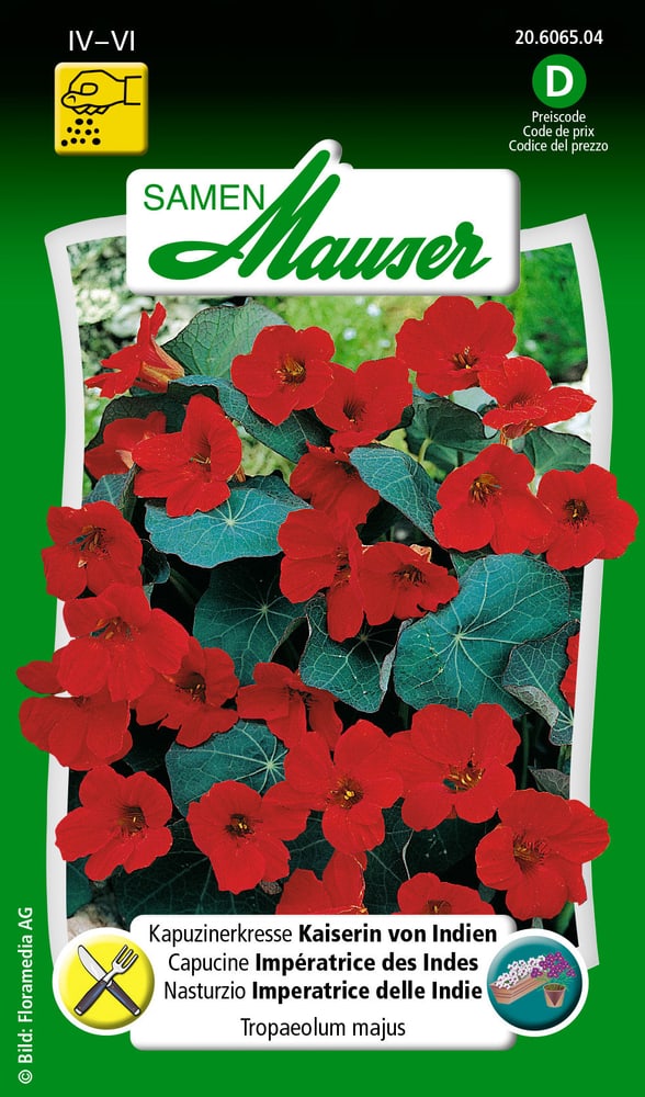 Nasturzio imperatrice delle Indie Sementi di fiori Samen Mauser 650107804000 Contenuto 3 g (ca. 25 piante o 3 m²) N. figura 1