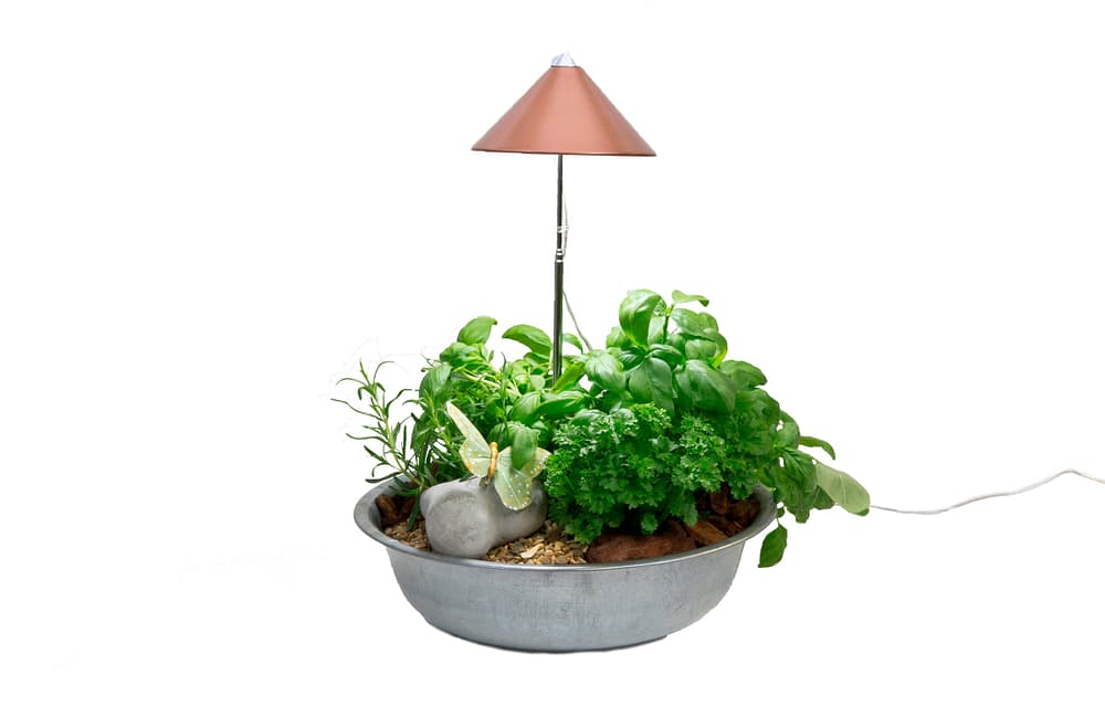 SUNLiTE Pflanzenlampe - kaufen bei Do it + Garden