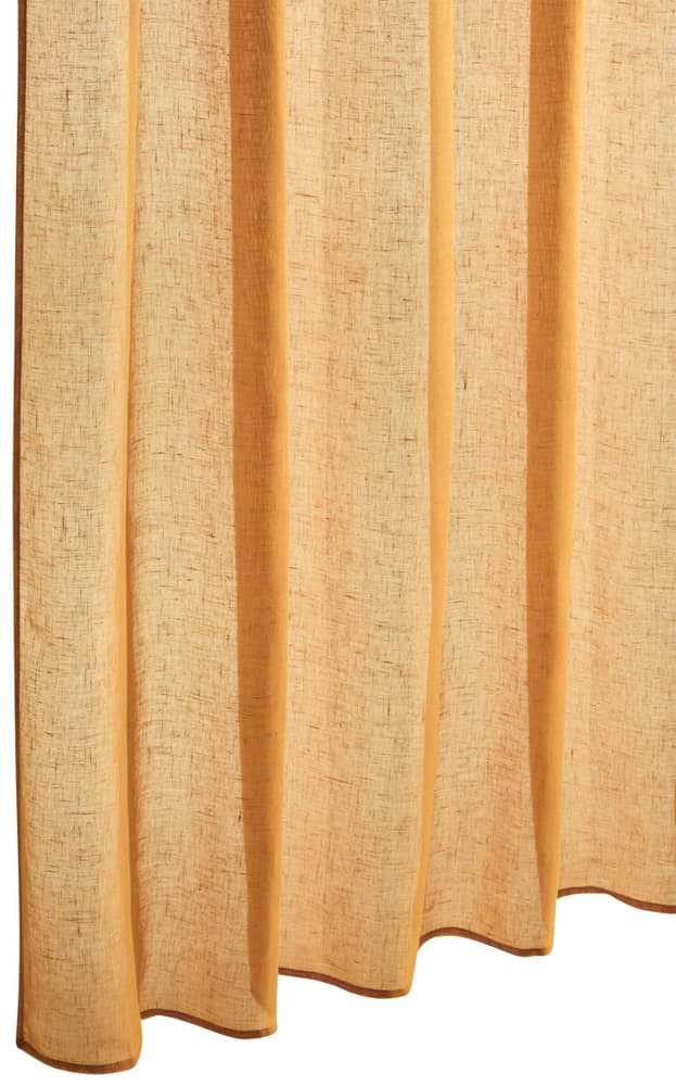 PABLO Rideau prêt à poser jour 430255121759 Couleur Or Dimensions L: 150.0 cm x H: 250.0 cm Photo no. 1
