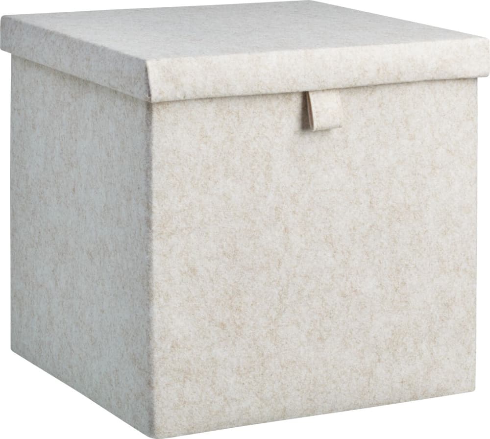 WILONA Aufbewahrungsbox 443120300000 Bild Nr. 1