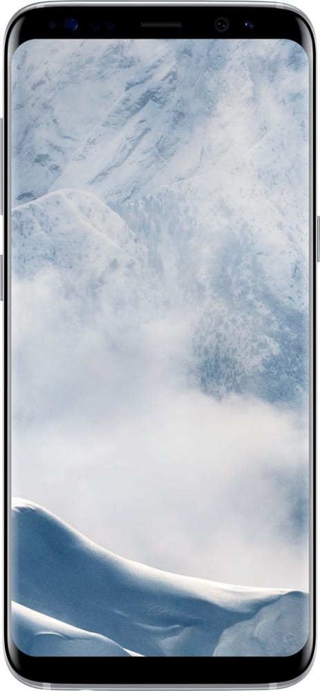 Galaxy S8 argento Smartphone Samsung 79461670000017 No. figura 1