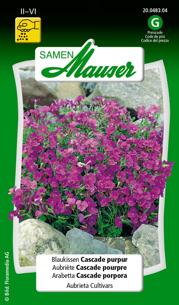 Blaukissen Cascade Purpur Blumensamen Samen Mauser 650101301000 Inhalt 0.5 g (ca. 200 Pflanzen oder 3 - 4 m² ) Bild Nr. 1