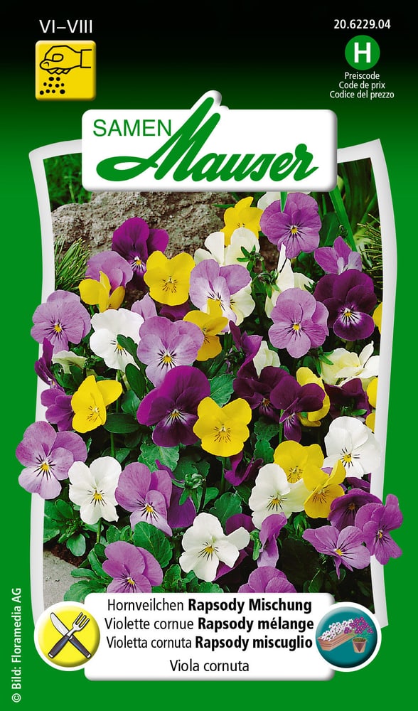 Violetta cornuta Rapsody miscuglio Sementi di fiori Samen Mauser 650108001000 Contenuto 50 semi (ca. 30 piante o 1.5 m²) N. figura 1