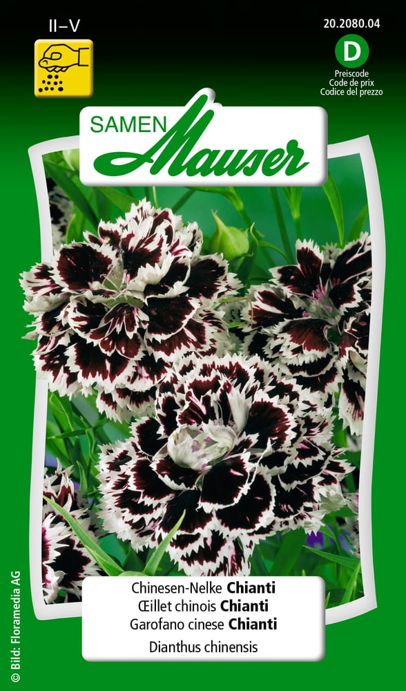Chinesen-Nelke Chianti Blumensamen Samen Mauser 650103104000 Inhalt 0.5 g (ca. 200 Pflanzen oder 10 m² ) Bild Nr. 1