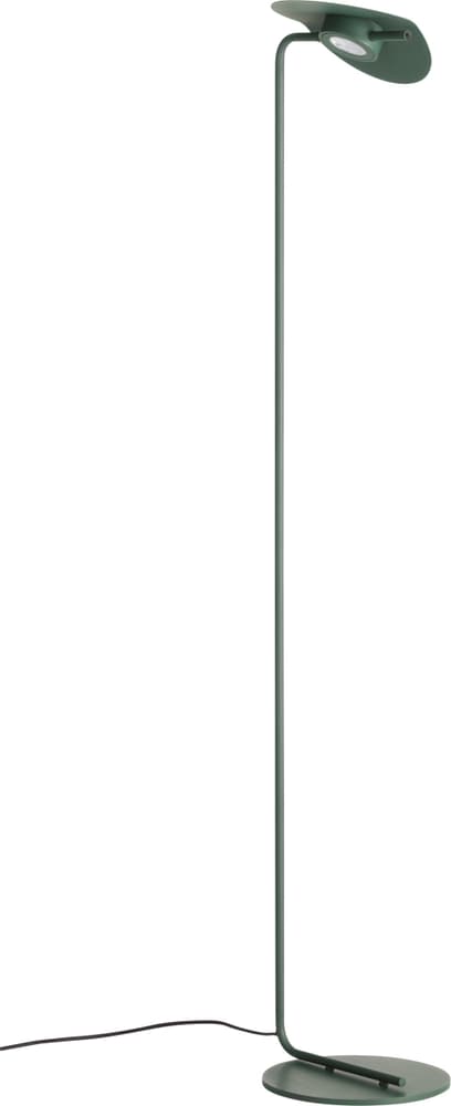LEA Lampada a stelo 420783700060 Dimensioni A: 128.5 cm x D: 23.0 cm Colore Verde N. figura 1