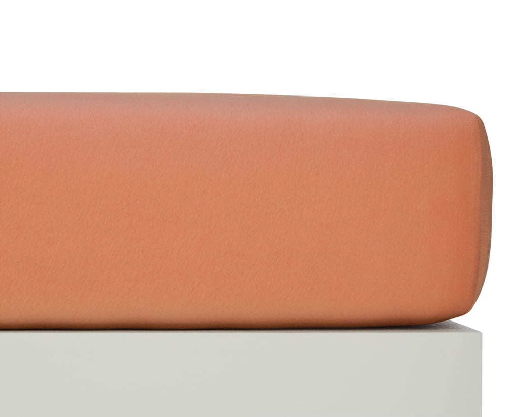 EVAN II Stretch Jersey-Fixleintuch EVAN II Stretch Jersey-Fixleintuch 451065230434 Farbe Sunburn Grösse B: 160.0 cm x H: 200.0 cm Bild Nr. 1