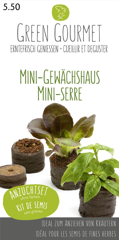 Mini-Gewächshaus Semences de gourmet Do it + Garden 286921000000 Photo no. 1