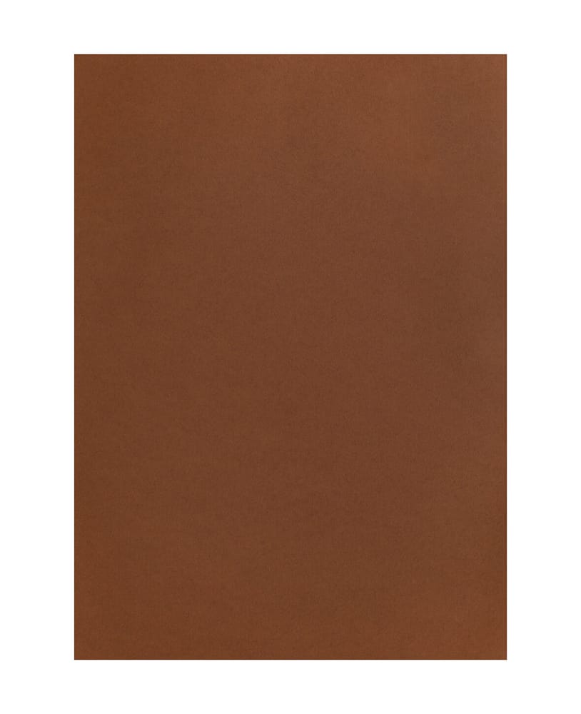 Carta Per Foto 50X70, Marrone M Cartone fotografico 666541000130 Colore Marrone Dimensioni L: 50.0 cm x P: 0.05 cm x A: 70.0 cm N. figura 1
