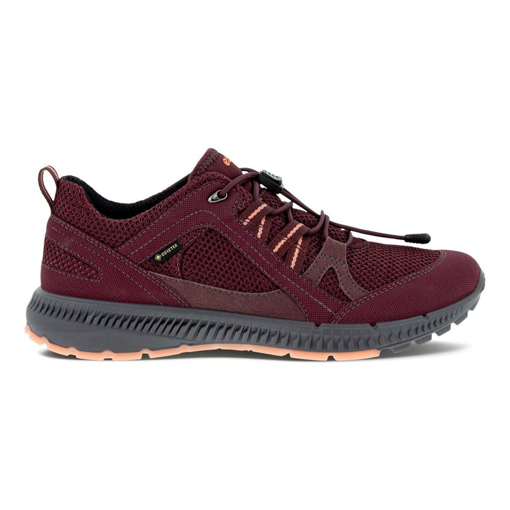 Terracruise II Chaussures polyvalentes ECCO 461192741045 Taille 41 Couleur violet Photo no. 1