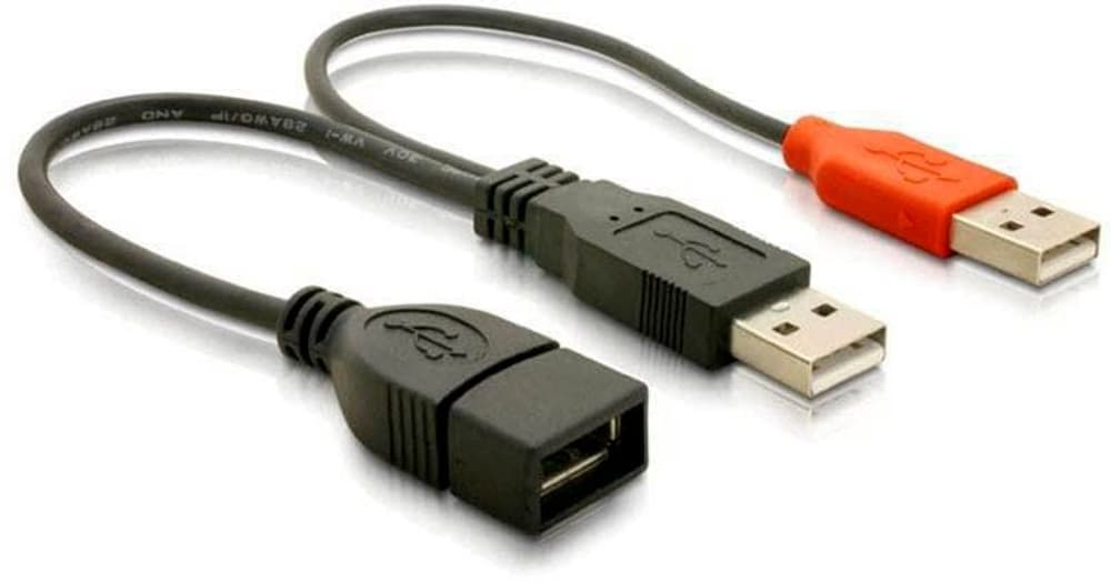 USB 2.0-Y-Kabel USB A - USB A 0.22 m USB Adapter DeLock 785300195149 Bild Nr. 1