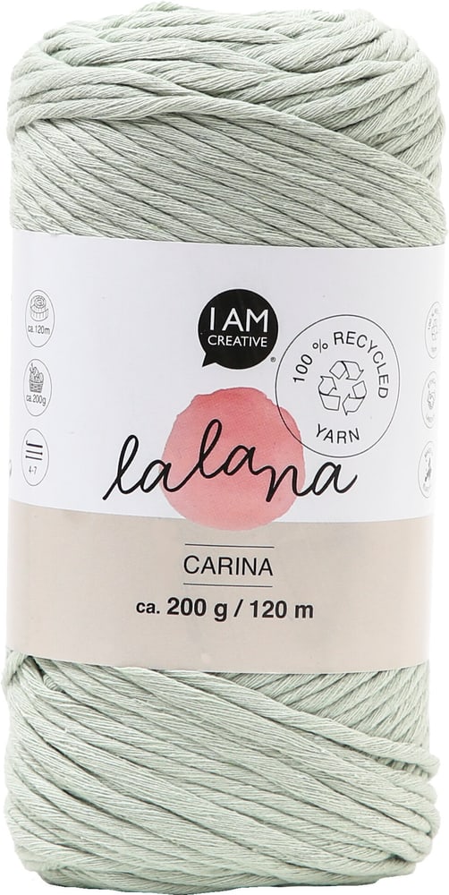 Carina little green, fil Lalana pour crochet, tricot, tissage &amp; projets macramé, vert gris, 3 mm x env. 120 m, env. 200 g, 1 écheveau Laine 668361100000 Photo no. 1