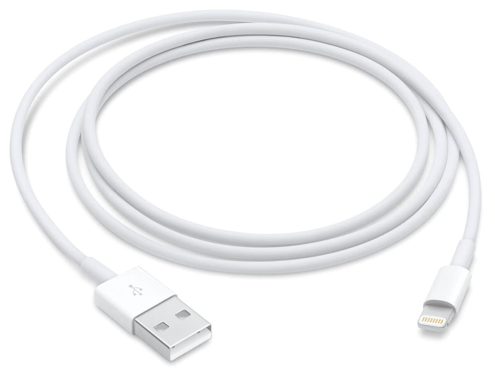 USB to Lightning 1m Câble USB Apple 798713600000 Photo no. 1