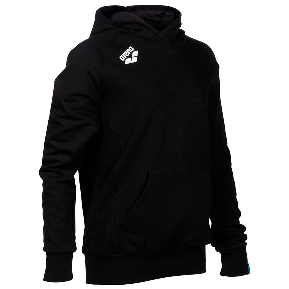 Jr Team Hooded Sweat Panel Pull-over Arena 468717315220 Taille 152 Couleur noir Photo no. 1