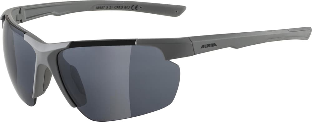 Defey HR Sportbrille Alpina 465096700080 Grösse Einheitsgrösse Farbe grau Bild-Nr. 1