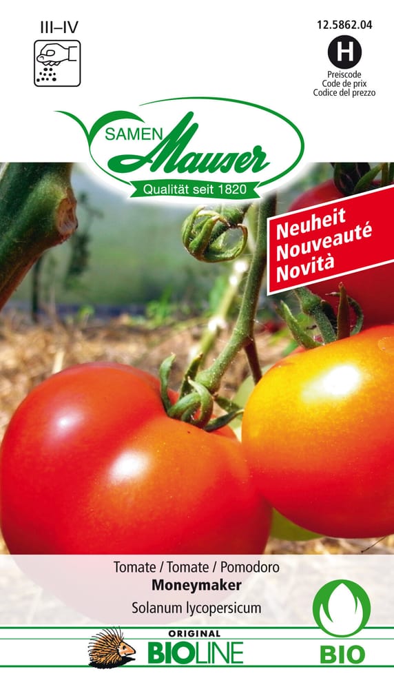 Tomate bio Bourgeon Moneymaker Semences de legumes Samen Mauser 650271100000 Photo no. 1