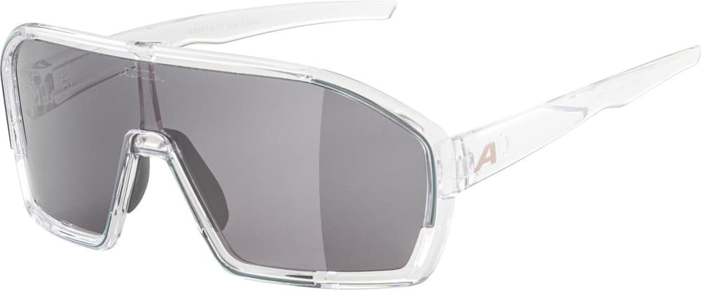 Bonfire Sportbrille Alpina 465096200080 Grösse Einheitsgrösse Farbe grau Bild-Nr. 1