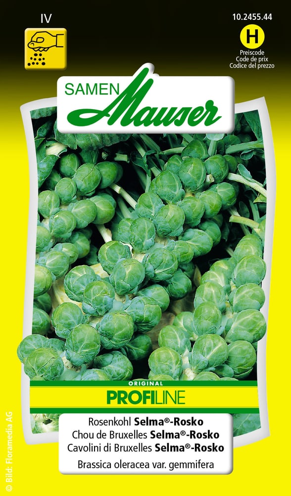 Chou de Bruxelles Selma®-Rosko Semences de legumes Samen Mauser 650114001000 Contenu 0.3 g (env. 50 plantes ou 10 - 12 m²) Photo no. 1