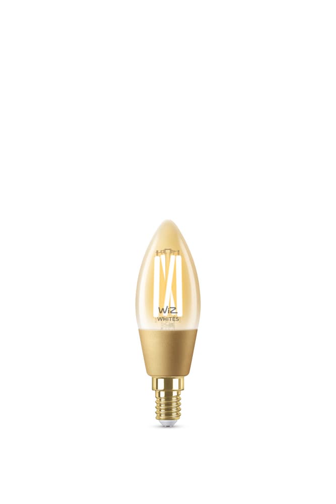 TUNABLE WHITE C35 GOLD Ampoule LED WiZ 421131700000 Photo no. 1