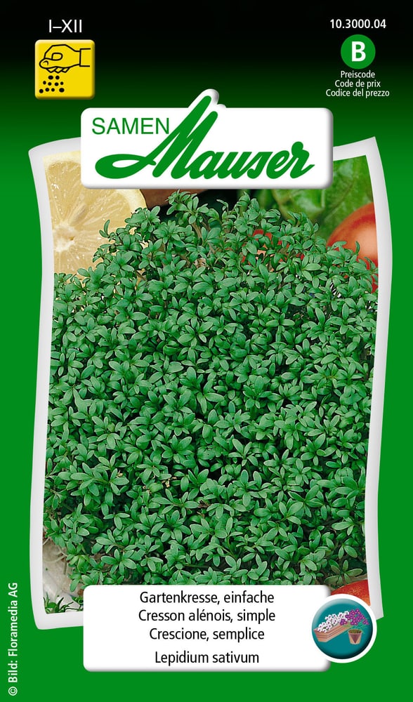 Crescione, semplice Sementi di verdura Samen Mauser 650111601000 Contenuto 25 g (ca. 0.5 m²) N. figura 1