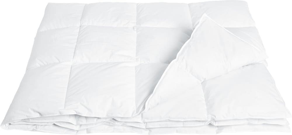 PLUMON Couette en duvet/en canard 451777012310 Couleur Blanc Dimensions L: 160.0 cm x H: 210.0 cm Photo no. 1