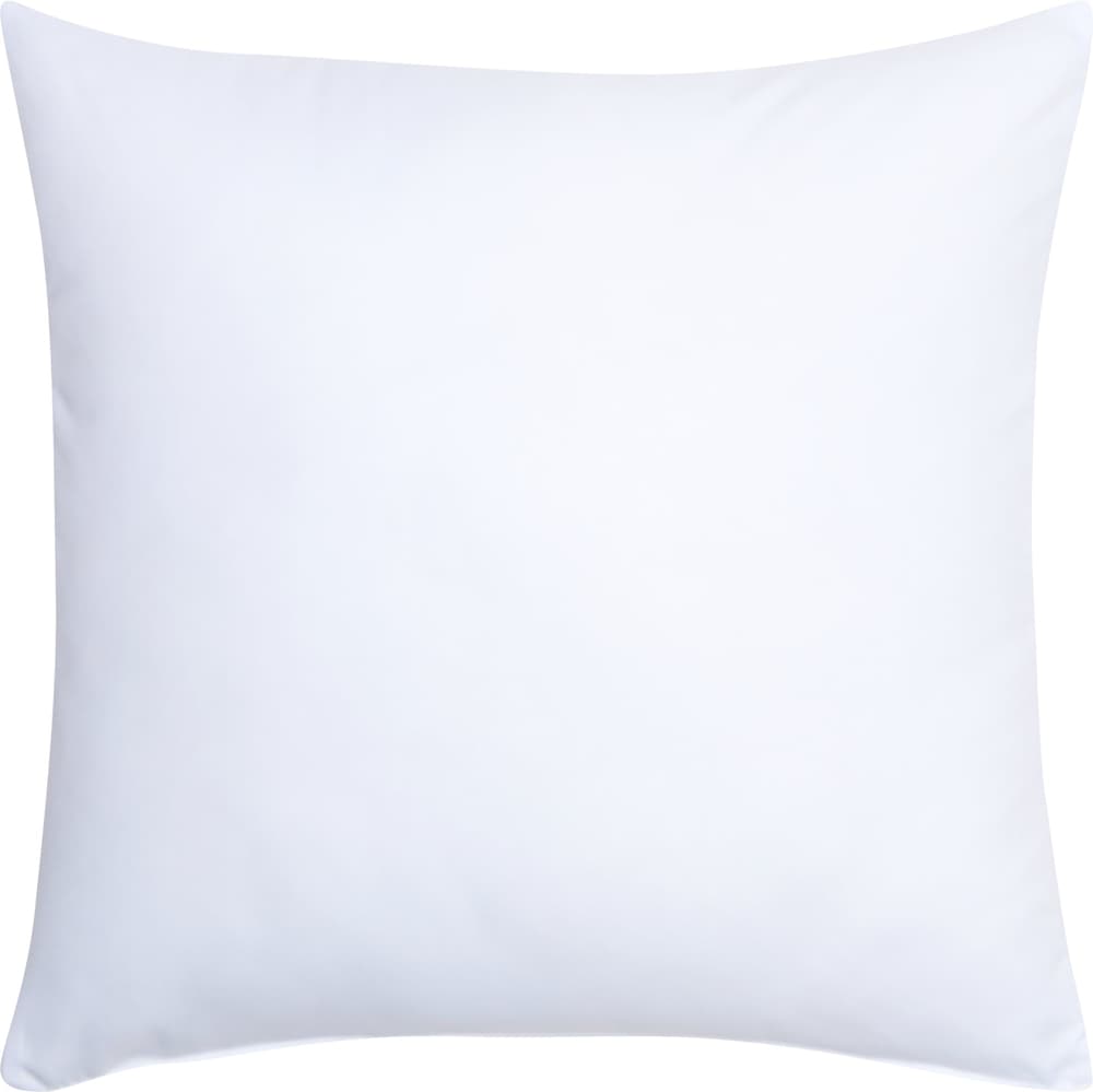 SOPHIA Imbottitura cuscini 450692040810 Colore Bianco Dimensioni L: 45.0 cm x A: 45.0 cm N. figura 1
