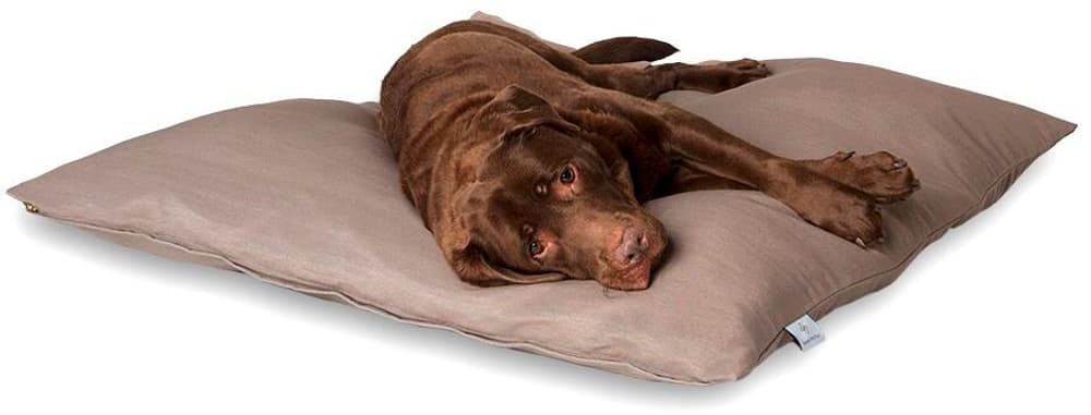 Darling Little Place cuscino in legno L 110 x 110 x 20 cm Cuscino per cani DarlingLittlePlace 669700100422 N. figura 1