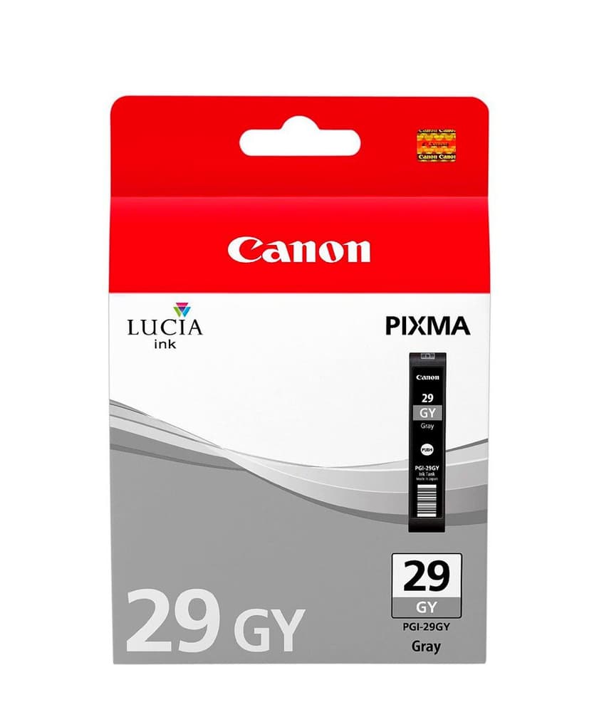 PGI-29GY grigio Cartuccia d'inchiostro Canon 785300123933 N. figura 1