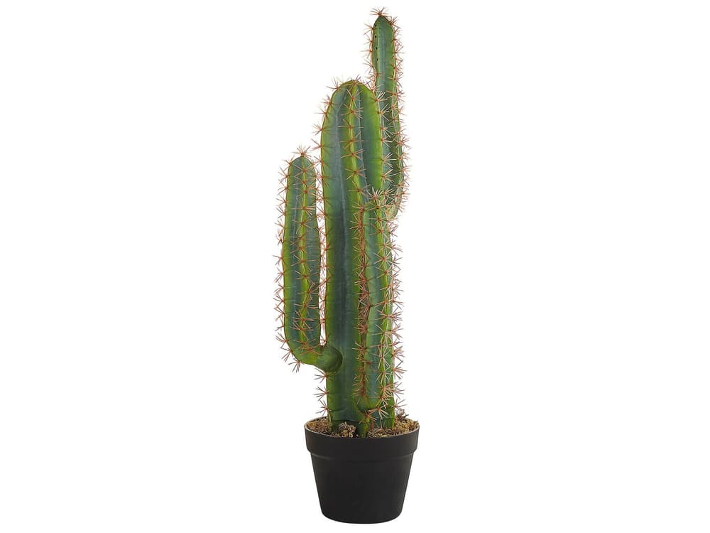 Cactus Pianta artificiale Beliani 656829100000 N. figura 1