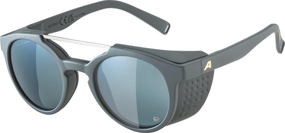 GLACE P Sportbrille Alpina 468823000080 Grösse Einheitsgrösse Farbe grau Bild-Nr. 1