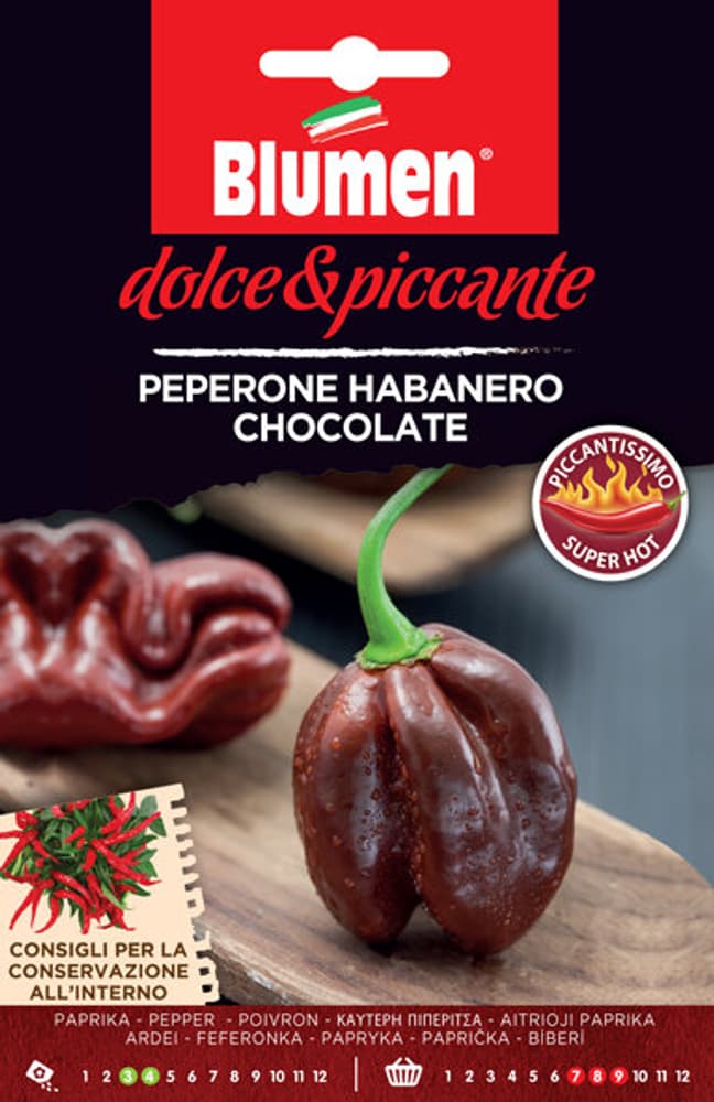 Poivron Habanero Chocolate Semences de gourmet Blumen 650163100000 Photo no. 1