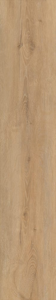 Maxi Clic 3.8 mm, Dakota Eiche Vinyl DIY-Wood 641087700000 Bild Nr. 1