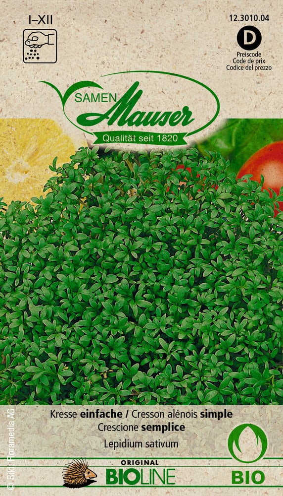 Crescione semplice Sementi di verdura Samen Mauser 650159700000 N. figura 1