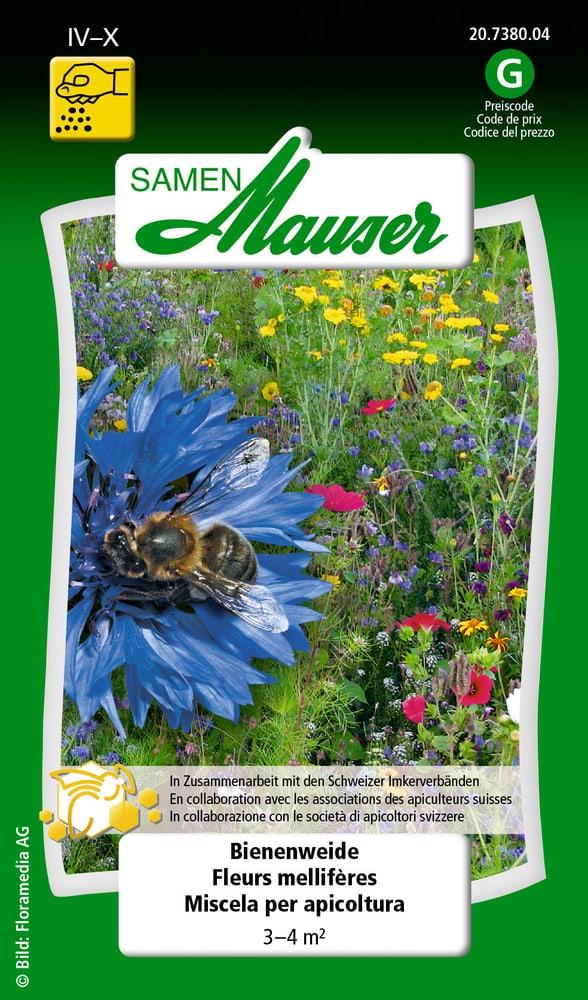 Miscela per apicoltura Sementi di fiori Samen Mauser 650117500000 N. figura 1