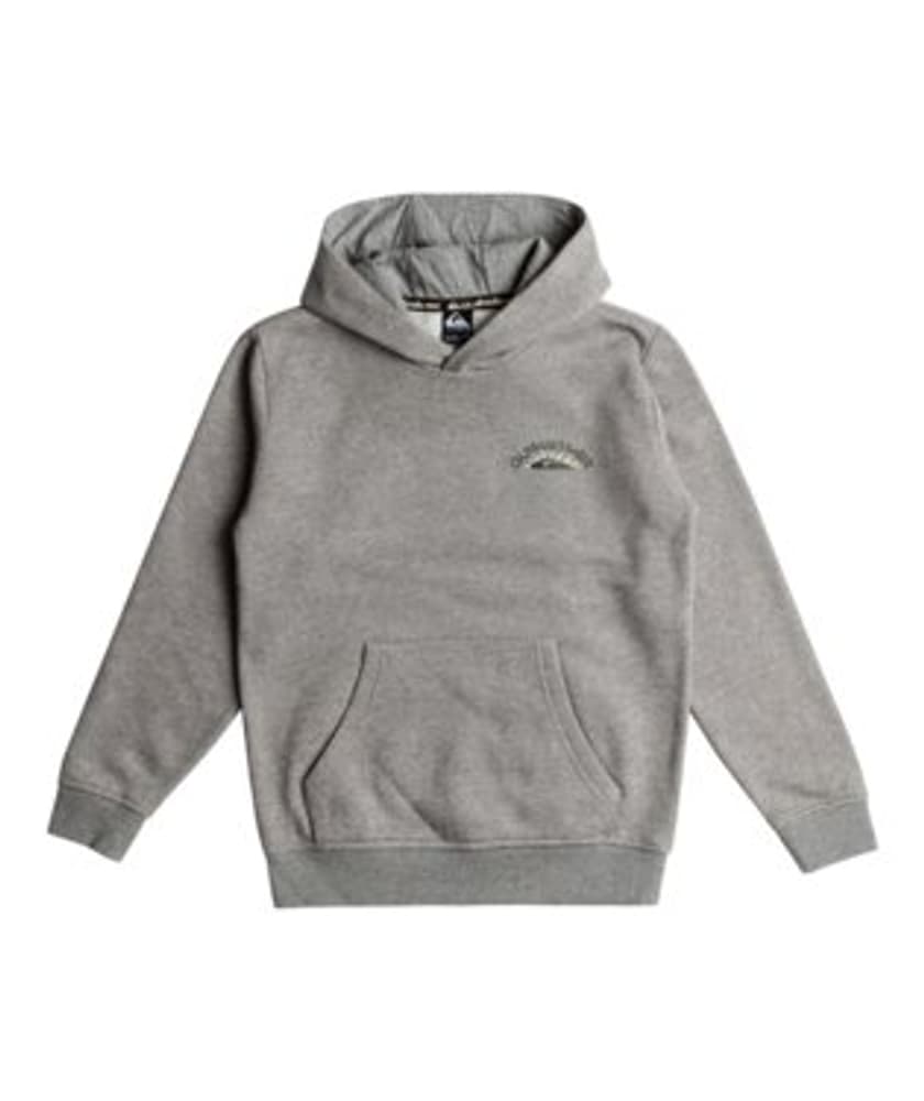 Big Logo Sweatshirt à capuche Quiksilver 469380614080 Taille 140 Couleur gris Photo no. 1